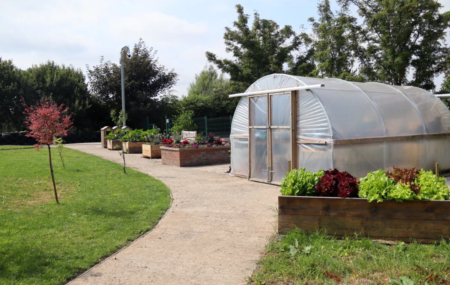 A tidy garden area at Glasgow Kelvin College featuring a clear polytunnel, raised flower beds, and a path lined with small trees and lush greenery. A tidy garden area at Glasgow Kelvin College featuring a clear polytunnel, raised flower beds, and a path lined with small trees and lush greenery.